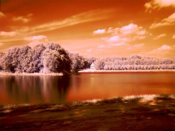 infrapic-0010