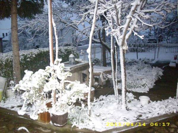 snow-0001
