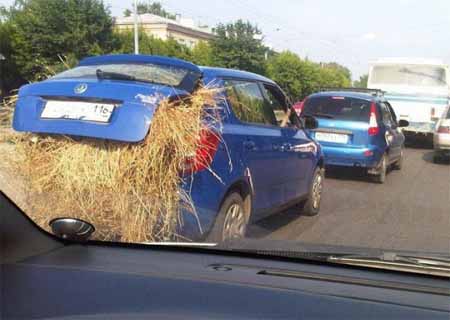 car_humor