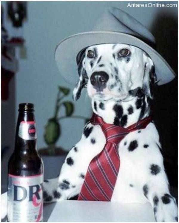 drunkdog-0018